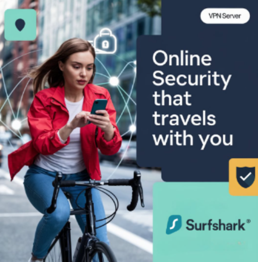 Paid social ad creative example 31